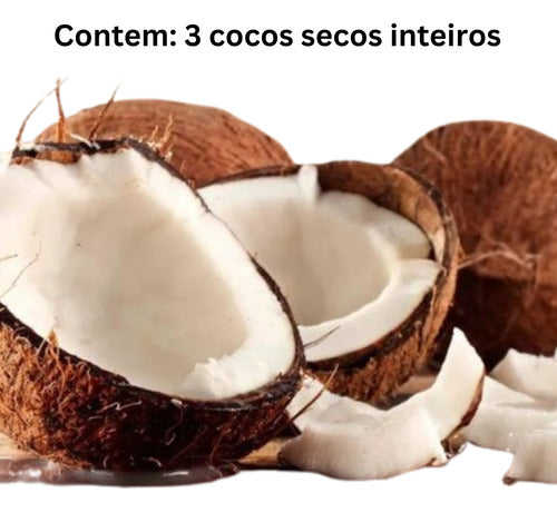 3 Cocos Secos Inteiros C/casca Cocada Nucífera 5