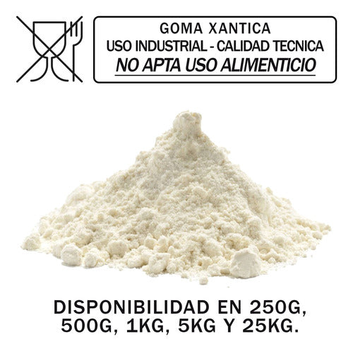 Goma Xantica Industrial Tecnica X 1kg - Rhodopol 23 1