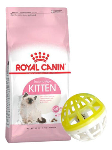 Royal Canin Kitten Food 1.5 Kg + Gift 0