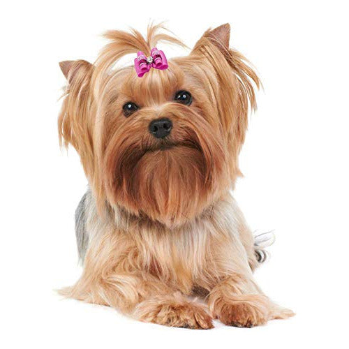 Pet Show Bling Pet Hair Bows with Rubber Bands for Dogs 1