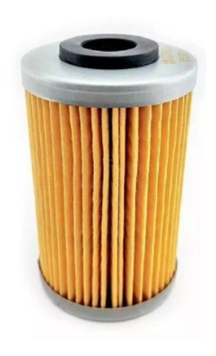 Filtro De Aceite Bajaj Rouser 200 Ns-as-rs-dominar Mamamotos 0