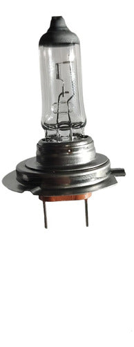Philips H7 12v 55w Lamp 0