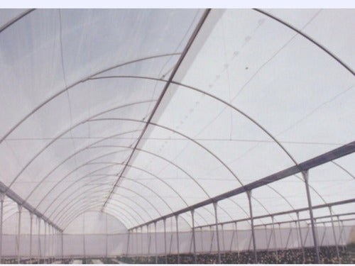 Nylon Agrario Cristal 3,6m X 20m X 200micrones 4