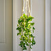 Singhoow 2 Set of Hanging Fake Plants with Lights 5