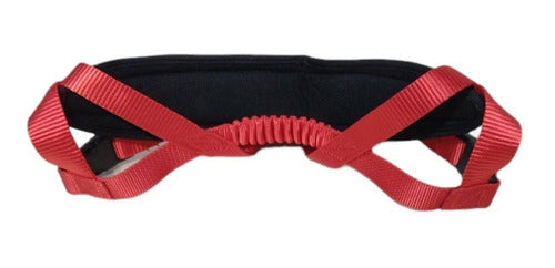 Lazy Dog Adjustable Nylon Harness 2