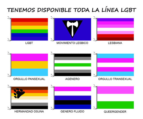 Bandera Intersexual Lgbt 70 X 120cm 3