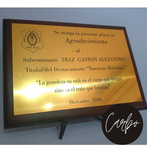 Placa: Premio/reconocimiento/profesion Similmetal 17x12 Cm. 6