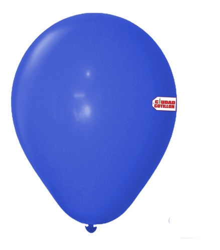 Tuky Standard 24 Inch Piñata Balloons - 1 Unit 0