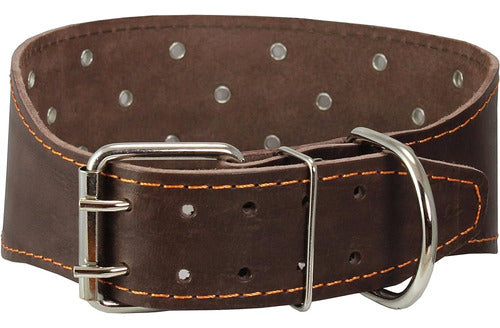 Dogs My Love 3 Extra Wide Genuine High-Resistance Leather Dog Collar 1