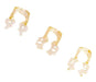15 Units Transparent Clamps by Indusbello Odontology 1