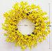 Corona Amarilla De Forsythia Para Puerta De Huashen De 24 Pu 1