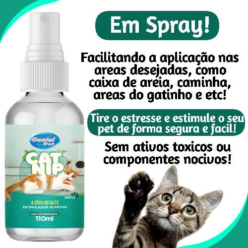 Shampoo Anti Pulgas Pra Gatos+ Erva De Gato Spray 1