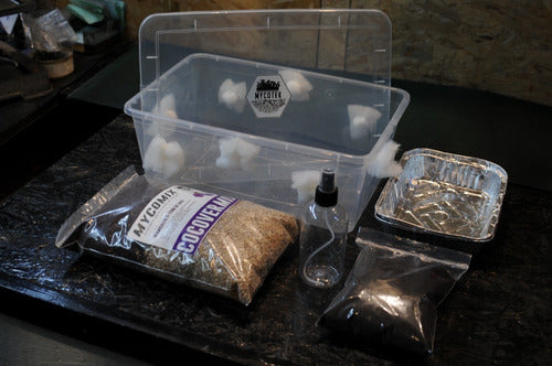 Mycotek Mushroom Growing Kit 1