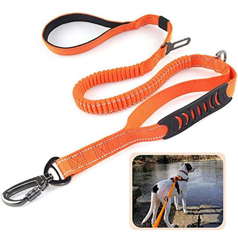 KASVER URUGUAY Heavy Duty Service Dog Leash 0