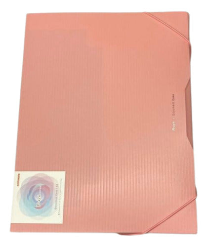 Databank Pastel Pink Elastic File Box with 25mm Spine 0