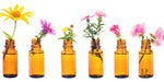 Bach Flowers - Customized 30ml Preparation 0