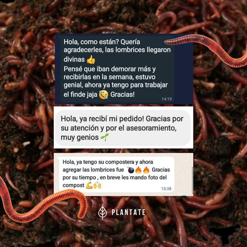 Plantate Californian Worms + Composting Guide + Support 3