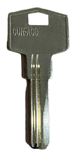 Currao Pack of 10 Computadized Keys for Replication 1