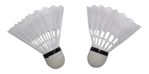 Set Badminton Annezi 4 Raquetas Acero + 2 Plumas + Red Bolso 2