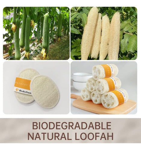 Bolosanto Esponja De Lufa Natural, Esponja Organica, Luffa E 1