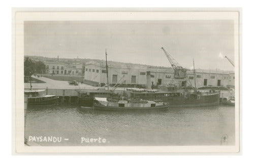 Puerto De Paysandú En El Año 1942 - Lámina 45x30 Cm. 0