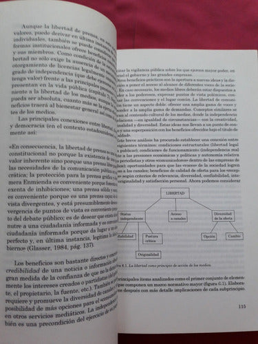 La Acción De Los Medios De Comunicación - Denis Mcquail 5