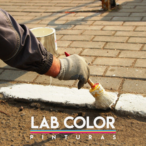 LAB COLOR Vial Paint for Cement Floors 10 Liters 3