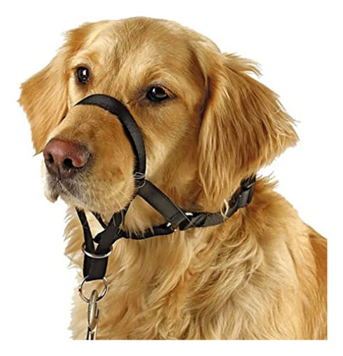 Dogal Para Perros Nº7 (34cm) 0