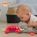 Kiddolab Musical Plush Crab Toy for Babies 2