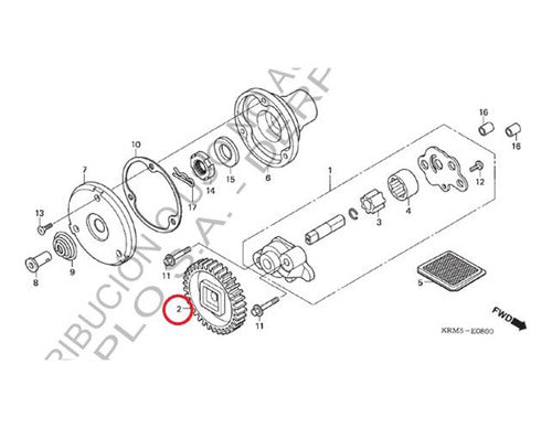 Honda Engranaje Bomba De Aceite Cg150 New Titan Original Bv 1