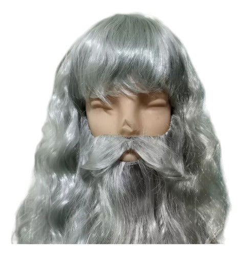 Peluca Y Barba Tipo Gris Style By La Parti Wigs 0