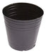 Soplada Pot N° 12 Pack of 100 Units - Best Price! 0