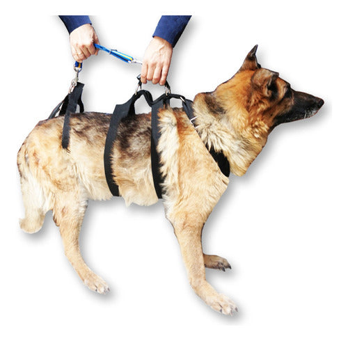 Dog Rehabilitation Harness Orthopedic Hip Dysplasia Aid 0
