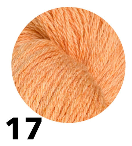 1 Skein of 100% Sheep Wool Yarn - Meriland - 150g 7