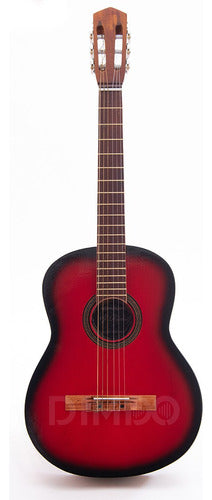 Classical Creole Guitar with Case 24