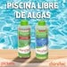 Pool Maintenance Algicide 1 Lt Clorotec 4