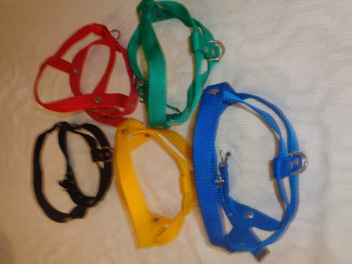 Combo Pets Shop 20 Collars / 10 Harnesses / 10 Leashes Various Colors 3