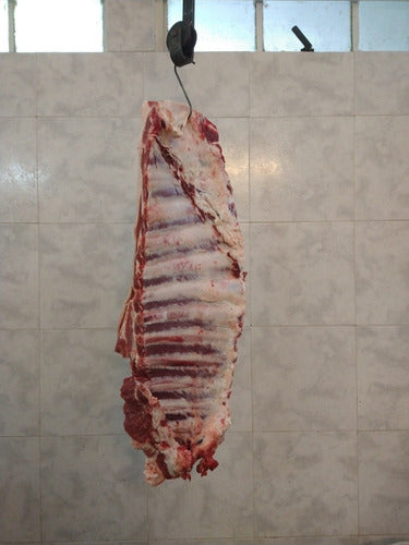 Angus/Shorton Asado Costillar Vacuno 1