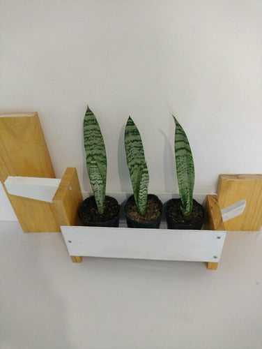 Nordic Style Plant Pot Holder Planter Model Salchiperrito 1