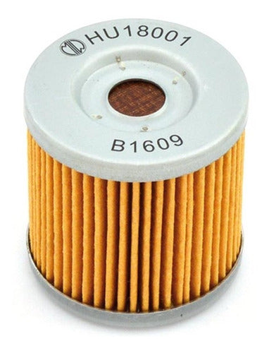 Filtro Aceite Husqvarna 250/450/610 0