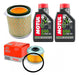 WEGA + MOTUL Kit Service Honda Xre 300 Aceite Motul + Filtros Wega Ryd 0