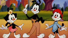 Animaniacs (serie Completa) 1