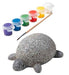 Alex Toys Craft Rock Pets Turtle 0