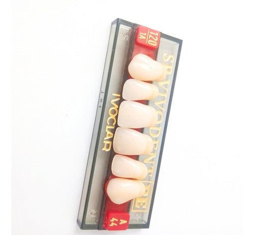 Ivoclar Vivadent Dientes Vivodent Color 1 A 120 Novacekdental 2