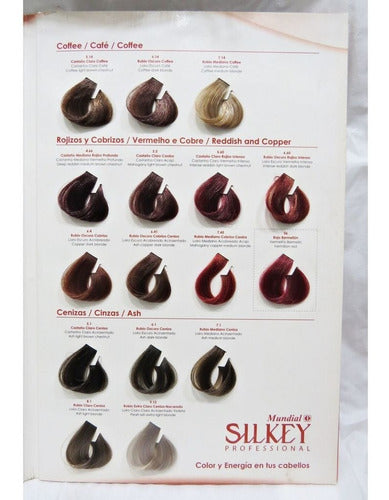 Silkey Brillansilk 6 Tubes of Platinum Tone-on-Tone Coloration - 60g 1