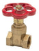 F&V 1" Brass Locking Valve 1