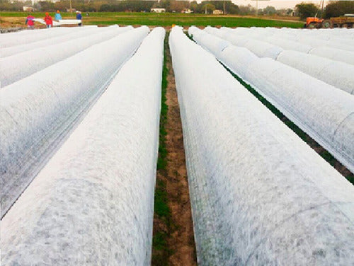 Tela Manta Termica Antihelada Protege Planta Invernade40x1.4 1