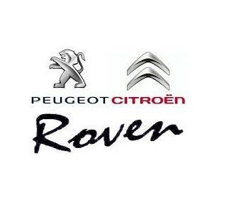 Peugeot Oil Cooler for Citroën Berlingo 1.9 Diesel (dw8) 4