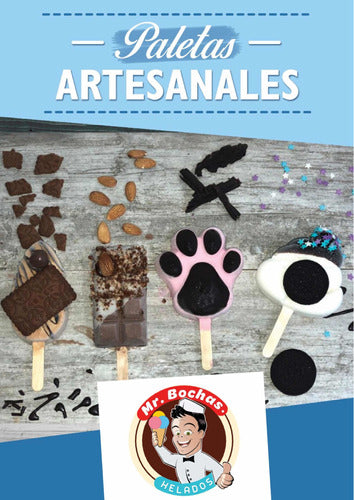 Mr Bocha Paletas Heladas Artesanales 1