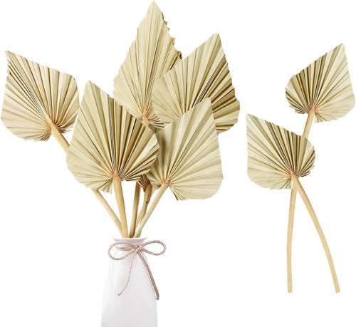 Sggvecsy Dried Palm Leaves Boho 10 Pieces 14.2 Øø Stems 0